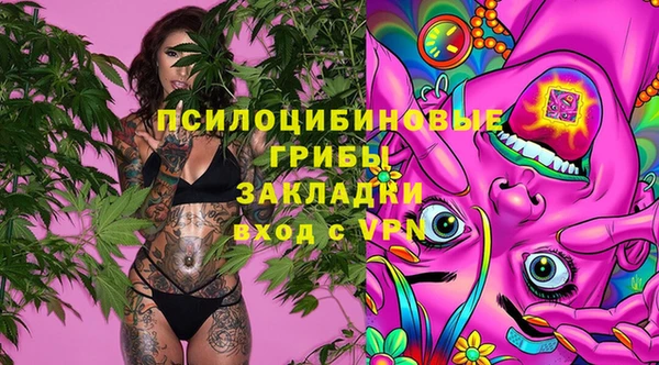 а пвп мука Баксан