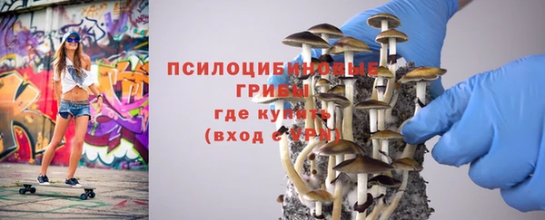а пвп мука Баксан